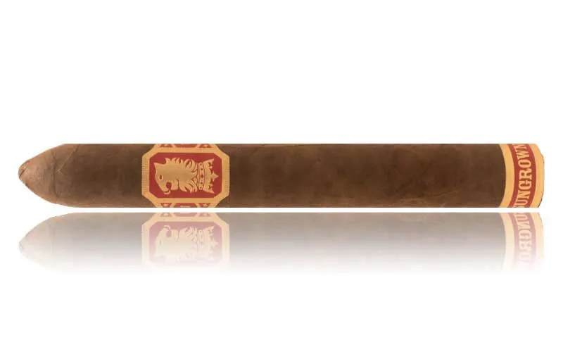 Zigarre Nicaragua Undercrown