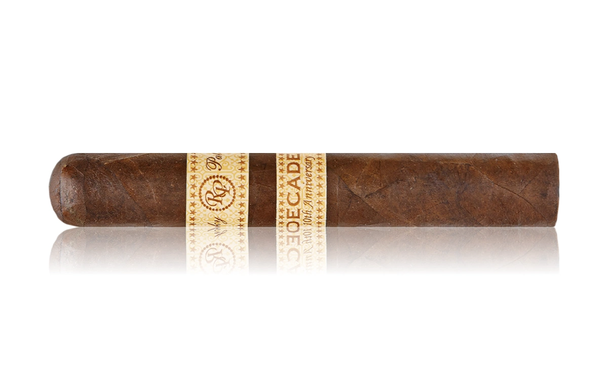 Zigarre Nicaragua Rocky Patel Robusto