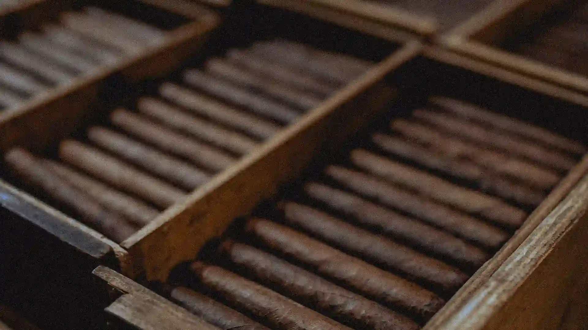 humidor mit vielen premium zigarren